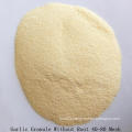 New Crop Dehydrated Garlic Granule Hot Sale